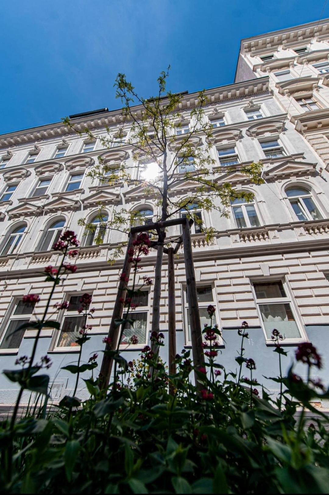 Vienna My City Apartment Garden View Kültér fotó